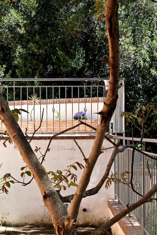 I Tre Pini Apartment Pollica Exterior photo